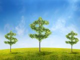 Yangarra's Credit Line Confirmed at $210MM; 93% Currently Drawn