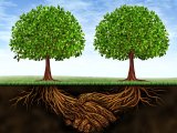 Devon Completes Sale of Barnett Assets