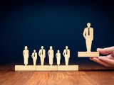 Vermilion Shuffles Management Team