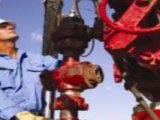 Santos 2013 Plans : Spend $200 Million Shale Gas