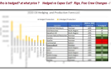 2020 Operator Hedge Report