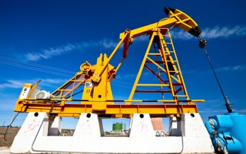 Private Operator Flows 500 BOPD Vertical Well in Liberty County, Texas